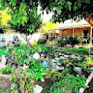 Meet your Posher, Robert